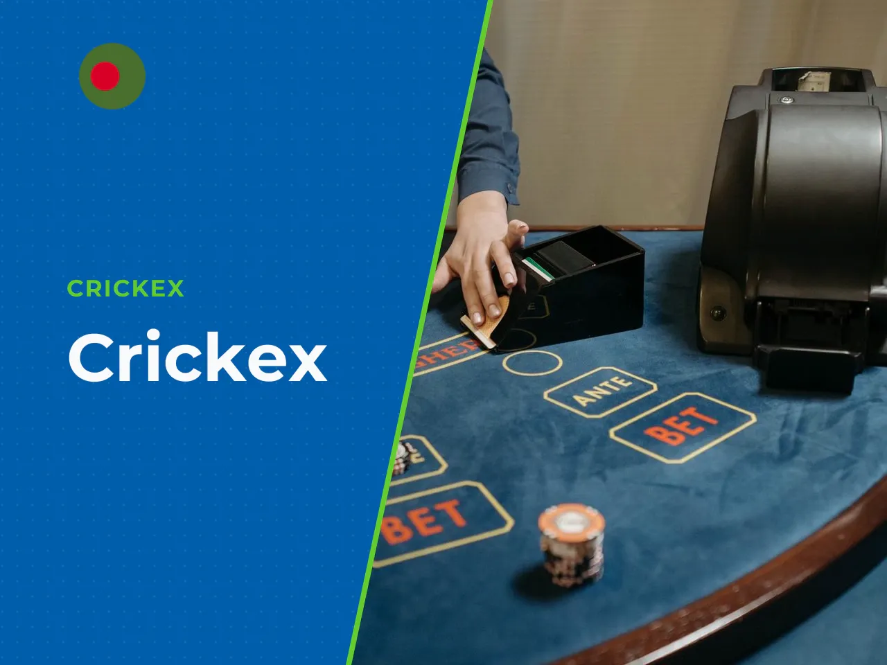 Crickex heading-banner