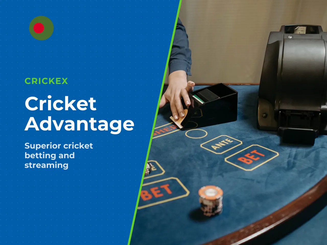 What Sets Crickex Apart for the